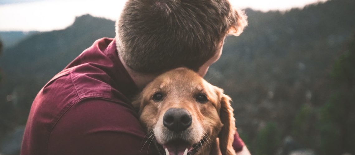 eric-ward-610868-unsplash